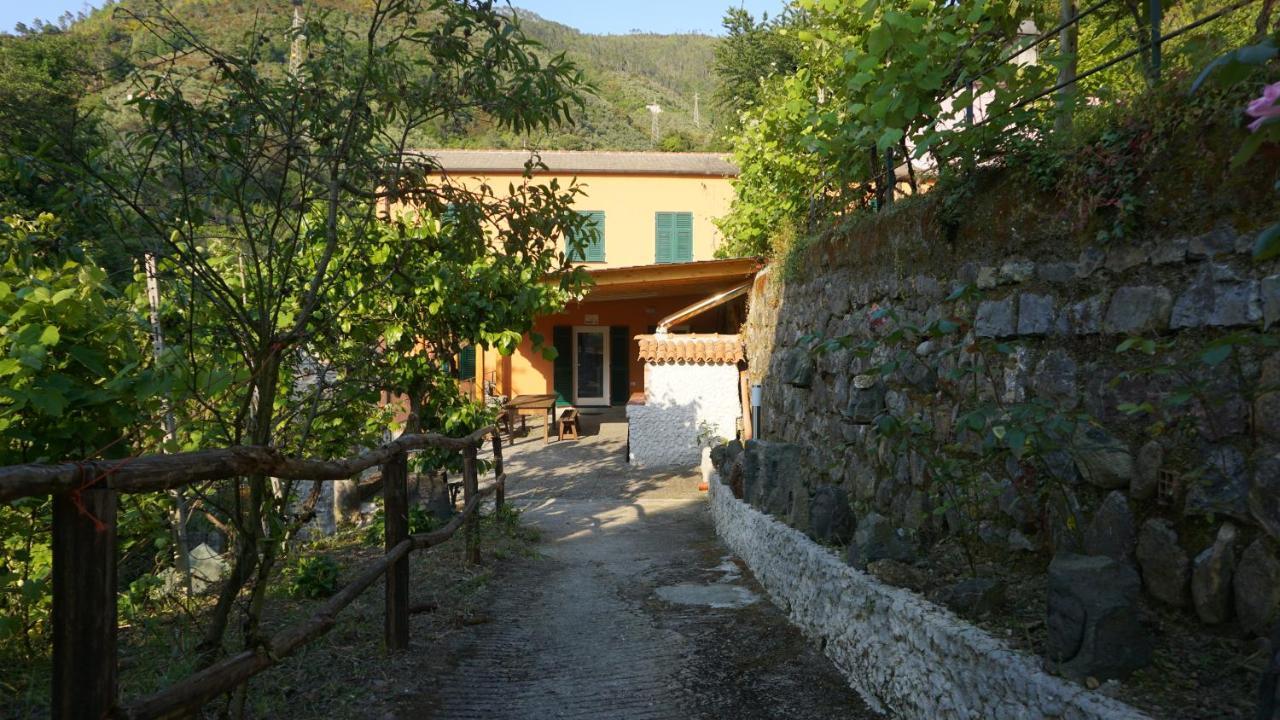 Agriturismo U Muinettu La Spezia Ngoại thất bức ảnh