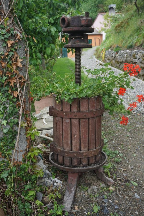 Agriturismo U Muinettu La Spezia Ngoại thất bức ảnh